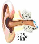 急性外耳道炎的症状