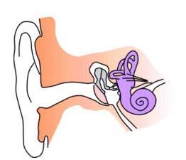患有血管性耳鸣怎么办？